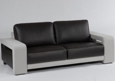 Canapé contemporain élégant et bicolore