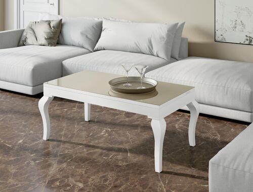 Table basse dinette esthétique classique 