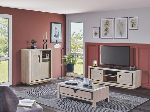 Meuble TV 2 portes 1 niche