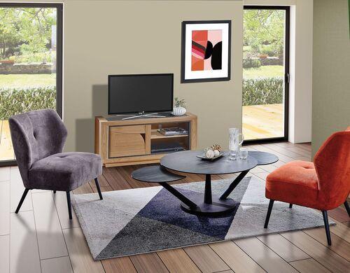 Petit meuble tv 1 porte 1 niche 