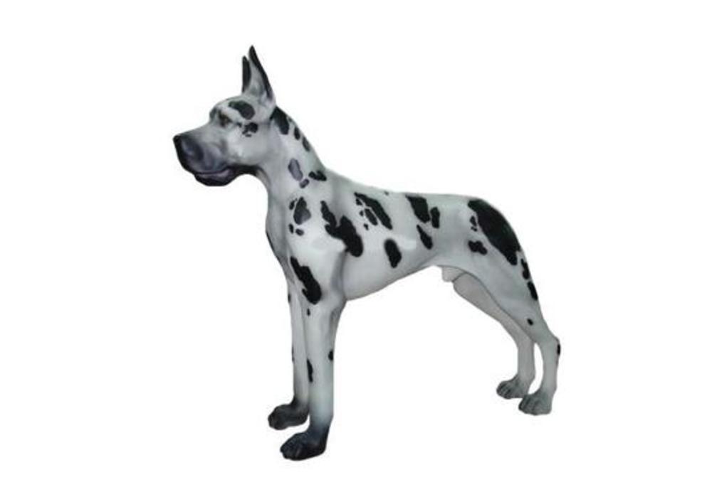 Dog Allemand XL  2