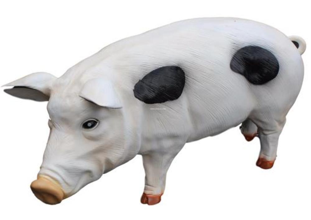 Cochon coloris uni 2
