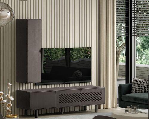 Meuble TV 3 portes avec 2 portes grillagées